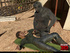 Lustful black female scientist giving head to an encage gorilla