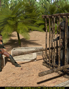 Lustful black female scientist giving head to an encage gorilla