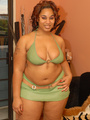 Fat black broad sits on white - Picture 1