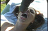 Melanie Jagger facial