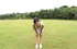 cool under-skits from cute