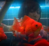 Attractive Japanese vixen in a white lingerie and kimono