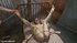 Pigtailed blonde girl gets tortured with film, ropes, canes and clamps