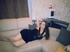 Brunette Teen Suzzycharm Dancing.