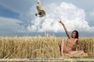 Wench in a white dress gets naked and fingers amongst the wheat. - Picture 3