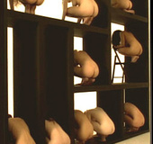 Breathtaking composition with nude girls placed on shelves