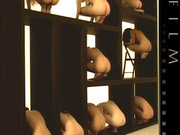 Breathtaking composition with nude girls placed on shelves