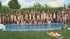 Massive blowjobs and orgy at the garden party