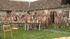 Relaxed girls and guys taking part at the outdoors fucking party