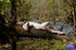 Lovely belle in a striped shirt and denim shorts poses naked by the river.