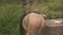 perfect chick stripping off