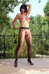 Novelty pink bikini with rosettes covering nips on a woman wearing lace-top