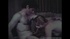 Different hotties in their young generation photos munching dicks while