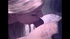 Different hotties in their young generation photos munching dicks while