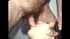 Luscious babes getting their pussies and boobs fucked in different places
