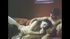 Lovely babes in pictures of their younger selves getting fucked and spunked