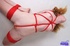 sensational wench gets tied