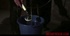 Red-haired honey gets a good scrubbing and then a bucket is suspended