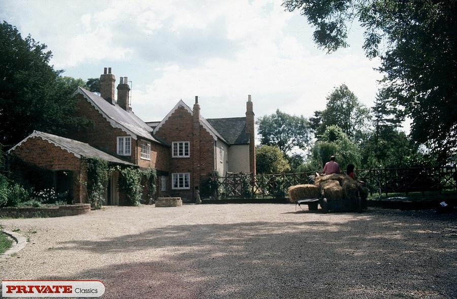Gorgeous chick wearing red blouse, yellow s - XXX Dessert - Picture 1