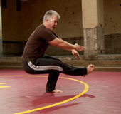 Painful martial arts demonstration from a white haired guy and a brute.
