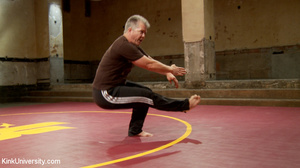 Painful martial arts demonstration from  - Picture 3