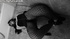 Black and white pics of brunette slave in a corset and fishnet gagged
