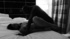 Curvy submissive chick on a dog leash giving a deepthroat to her black