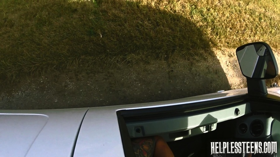 Hot teen hitchhiker falls prey to a horny b - XXX Dessert - Picture 1