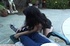 Brunette lady with huge forms gets man's head between legs