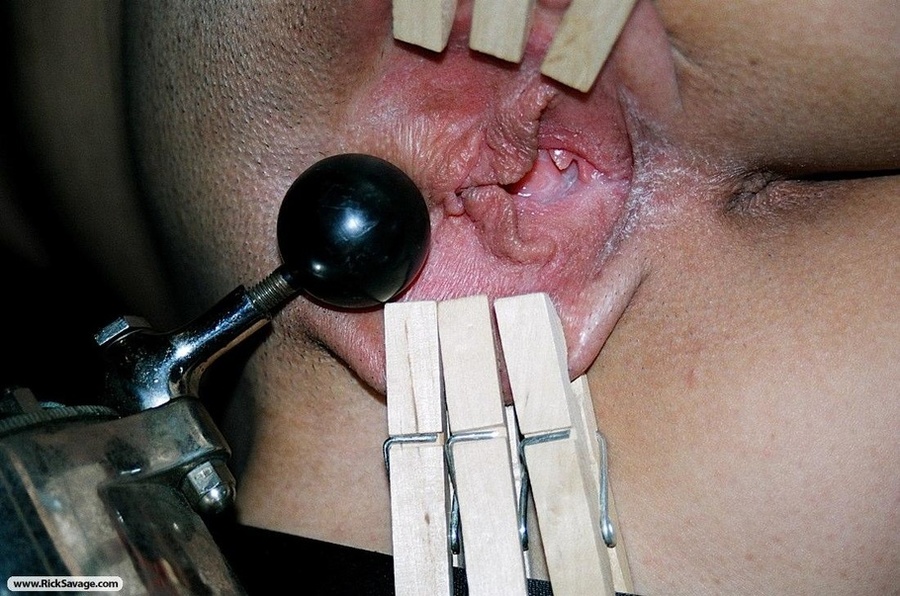 Gagged British bitch is ready for some nice - XXX Dessert - Picture 7
