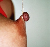 Sensual lady is bound and humiliated by her kinky master with joy