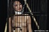 asian cutie expereince wonderful