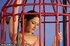 caged slut gets painful