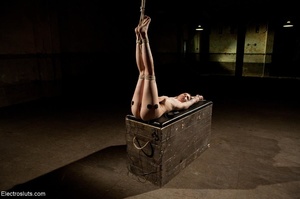 Tattooed bitch on a bondage box is given - Picture 2