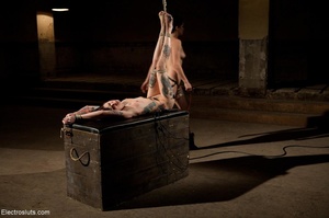 Tattooed bitch on a bondage box is given - Picture 8
