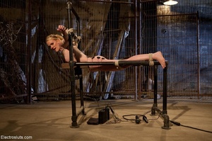 Blonde is subdued with rope and a bondag - Picture 8