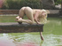 Nude mesmerizing blonde with sexy booty rows canoe and plays with water