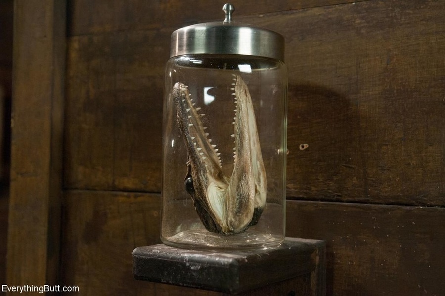 Ravishing sex kittens in latex love playing - XXX Dessert - Picture 16