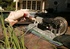 Blonde gal uses crazy machine outdoors by the poolside