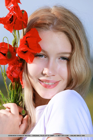 Pretty young blonde pose in a rose garde - Picture 1