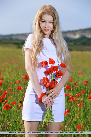 Pretty young blonde pose in a rose garde - Picture 3