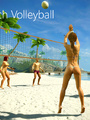 Beach volleyball and hot babes in - Picture 4