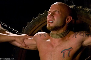 Bald tattooed slave gay gets jeered in c - XXX Dessert - Picture 6