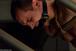 Gay slave in collar gets released from c - Picture 14