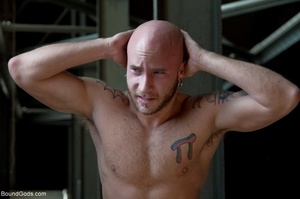 Bald tattooed lad gets his shitty hole i - XXX Dessert - Picture 4