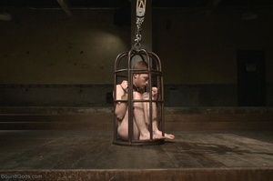 Encaged gay in collar gets tortured with - XXX Dessert - Picture 10