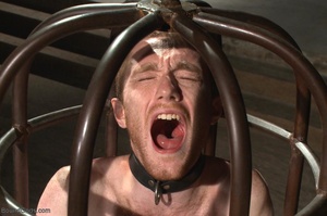 Encaged gay in collar gets tortured with - Picture 13