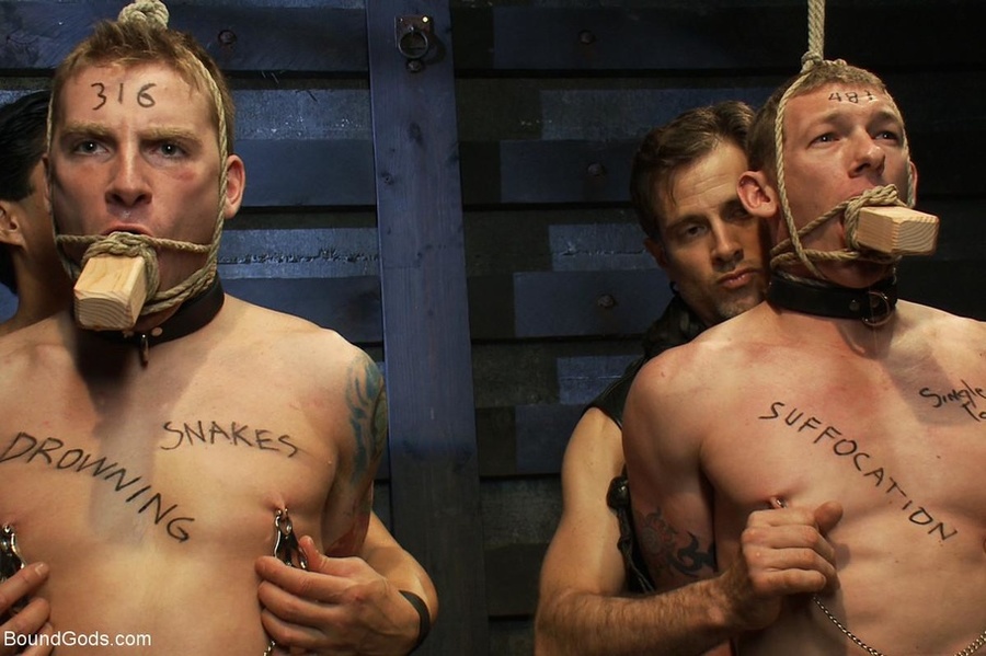 Tied up gay slaves are ready for a huge mea - XXX Dessert - Picture 8