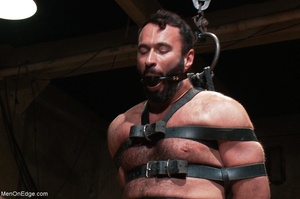 Bearded bear in boots gets really high f - XXX Dessert - Picture 13