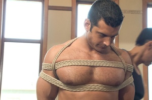 Muscular hunk gets really high getting h - XXX Dessert - Picture 13